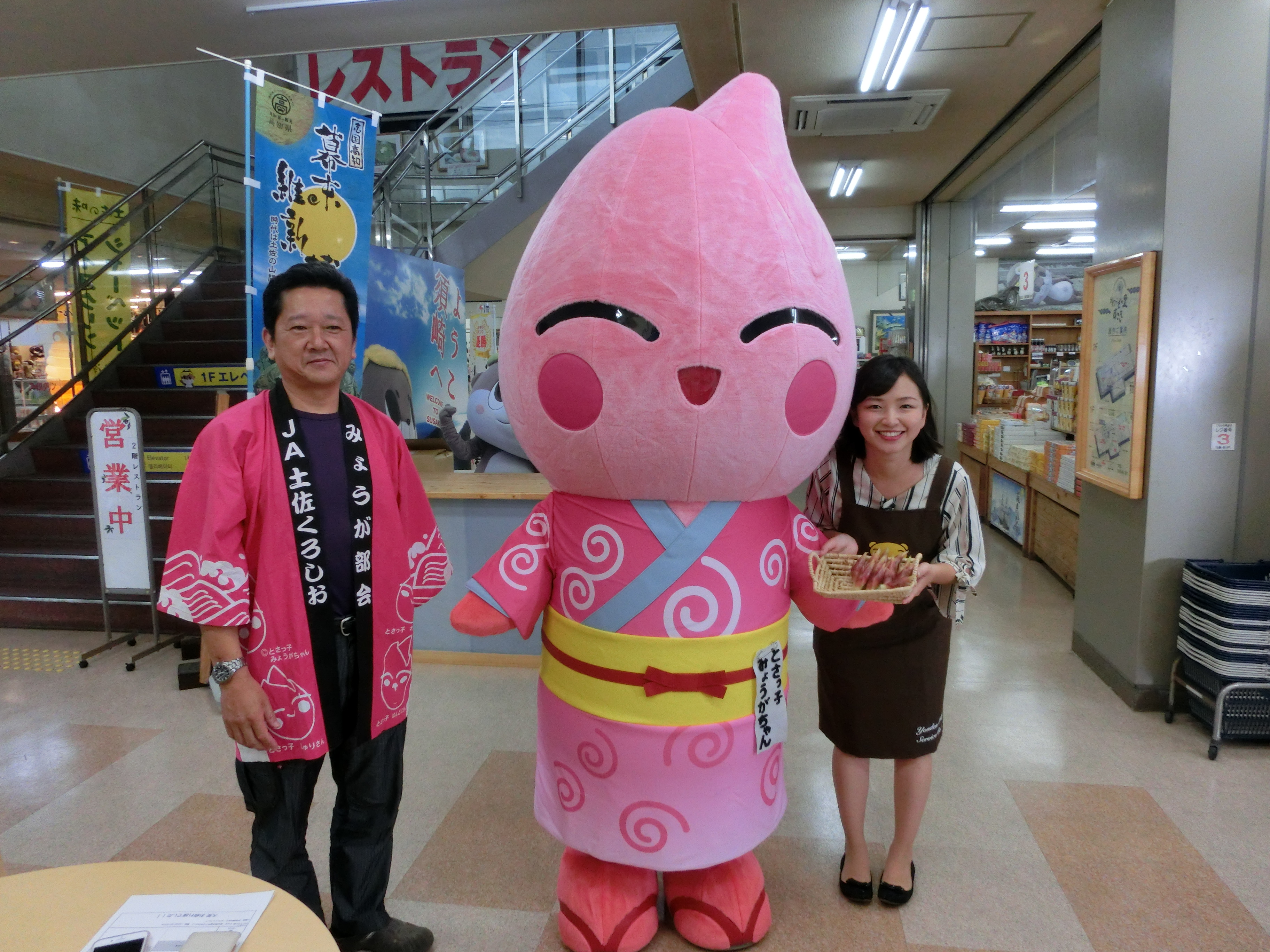 【大ちゃん】みょうが☆茗荷☆４００g☆長崎県産 楽天市場】ミョウガ 茗荷子 高知県産 : 夜の八百屋さん